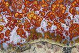 Wingate Pass Plume Agate Slab - California #378059-1